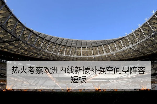 热火考察欧洲内线新援补强空间型阵容短板